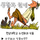 제1차 개인보고서 전남대학교 수선화과 식물 - 71932 오동수 이미지