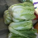 남4통 Daum카페