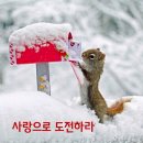 사랑으로 이미지