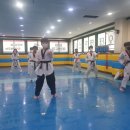 오태태권도장 이미지