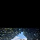 놀멍놀멍 이미지