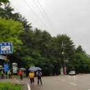 선유동1로 Daum카페