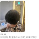 전주효자동 50대60대 중년여자 보브컷 보브펌 후기! 손질방법 꿀팁!