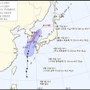 장미의거리12 이미지