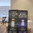 분당24시동물의료센터 | 부산 24시 동물병원 더휴동물의료센터 강아지 방광종양 재진 후기