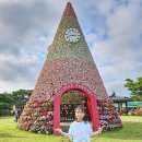 회산백련지 잔디광장 이미지