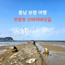 신비 | 보령 무창포 신비의바닷길 후기｜물때 시간표 주차 아이랑 가기 좋은 여행지