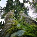 대운유통 이미지