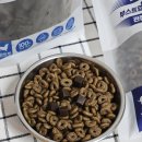 비디아이소프트 이미지