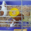 월드피쉬수족관