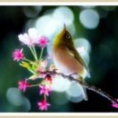 참좋은인연 이미지