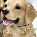 캐릭터공인중개사사무소 이미지