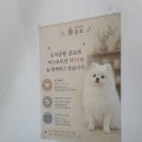 대연동 도자기공방 도자공방 준요 데이트 후기(애견동반 가능)