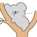 르컬렉티브 강남 예술의전당 시그니티 이미지
