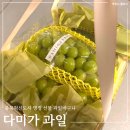 과일도시 | 내돈내산 명절 선물 충북혁신도시 다미가과일 추석 샤인머스켓 바구니 포장 솔직 후기