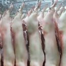 털보축산 이미지