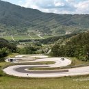 산양삼마을민박 이미지