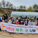 상수초교 이미지