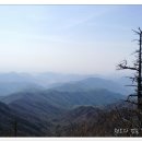 황금능선