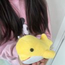 신한은행부속치과의원 | 화명어린이치과 어금니 홈메우기(실란트) 후기 | 초등아이 충치예방