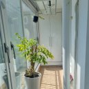 내곡동476 이미지