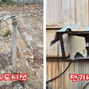 노인회관 옆 이미지