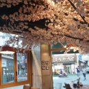 머구식당 | 부산서면맛집추천 깔끔하게 식사하기 딱 좋은 머구식당 솔직후기