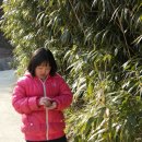 신덕마을 이미지