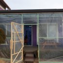 준 라이브 펜션 이미지