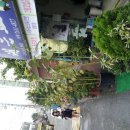 문영미농장 이미지