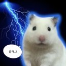 7월 4주차 일상 ::: 무지개가 가져온 행운🌈, BUOY 부오이 에코백 후기, 마음 따수운 한 주