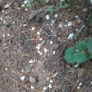 동복마을운동장 이미지