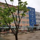 천안새샘초등학교 이미지