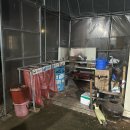 한우네 | [영양/숙소]촌캉스즐기기 좋은 일월산한우네 ‘구절초방’ 솔직후기