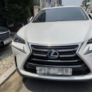 일산판금도색 렉서스 NX300h 양측 도어 복원후기!
