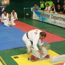 천하 태권도 이미지