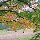 가이드 팁으로 영광굴비를 ^^ 이미지