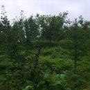 성대농장 이미지