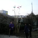 나무와새어린이집 이미지