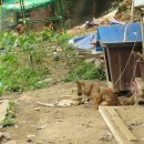 방실농장 이미지