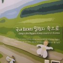꿀벌생태관 네이버블로그