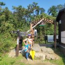 치악산둘레길 2코스 구룡길 이미지