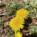 까치주유소 이미지