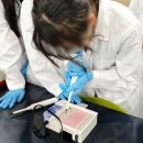 인천청호중학교 이미지