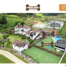 안면애견펜션프리독 이미지