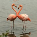 도전 수채화 이미지