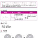 조이디엑스 Daum카페