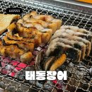 태동장어 | 풍천민물장어 숯불구이 '태동장어' 정왕동 모임장소 추천