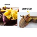 해남 햇꿀밤고구마 10kg 19000원(한입사이즈) 무료배송 이미지