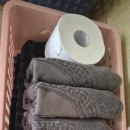 샤인스테이 이미지